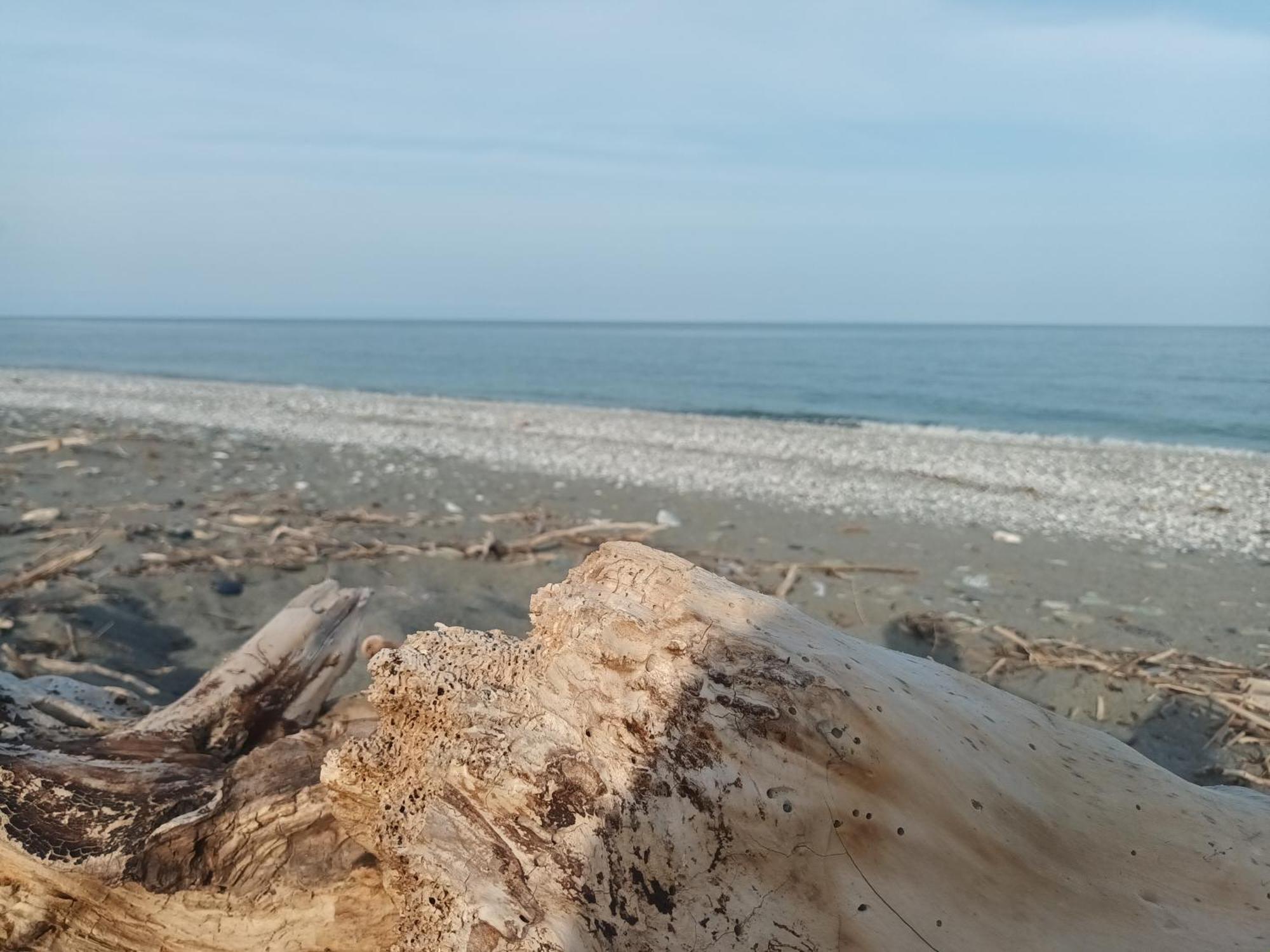 Velika Beach Rooms Luaran gambar